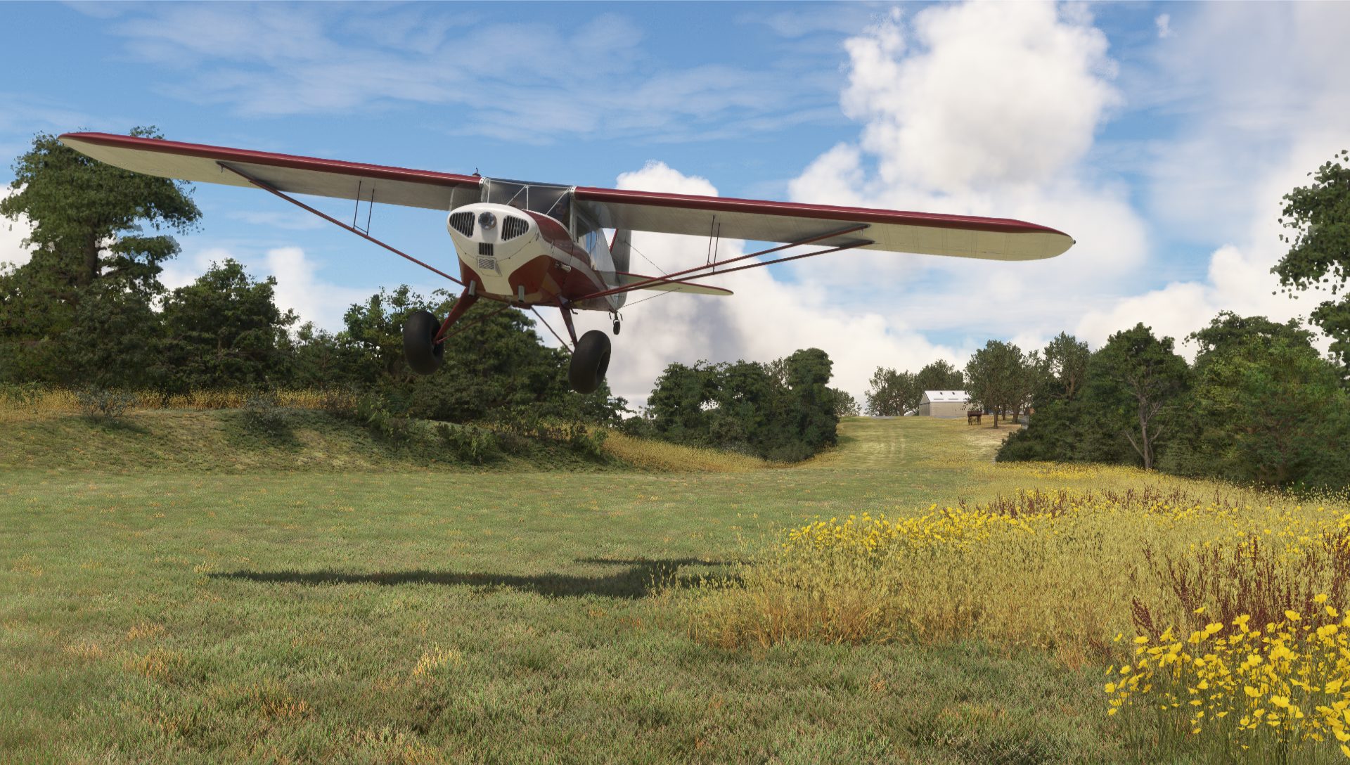 A Got Friends Taylorcraft makes a low pass down the grass runway at Limberlost Ranch