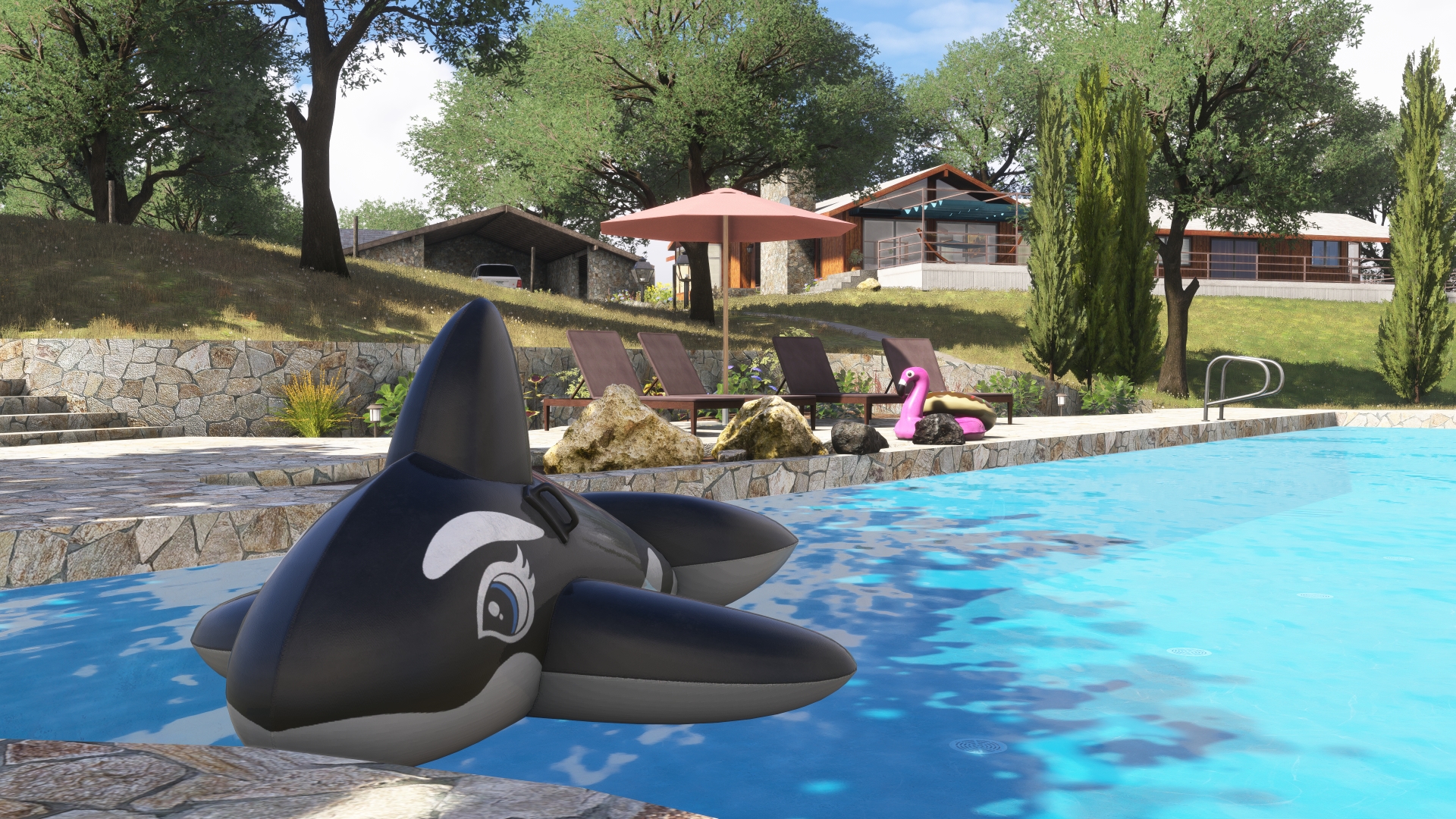 Limberlost Ranch pool daytime with whale pool float looking towards ranch house and garage