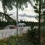 3D trees and vegetation in the foreground with a white hangar, orange excavator and yellow roller in the background